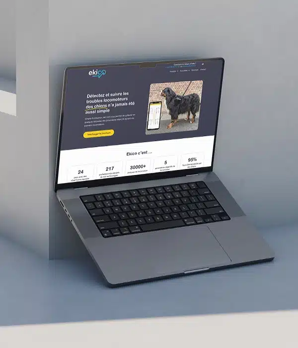 Création site WordPress & identité visuelle​ - Perpignan & alentours
