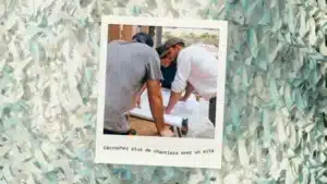 Site web artisan btp